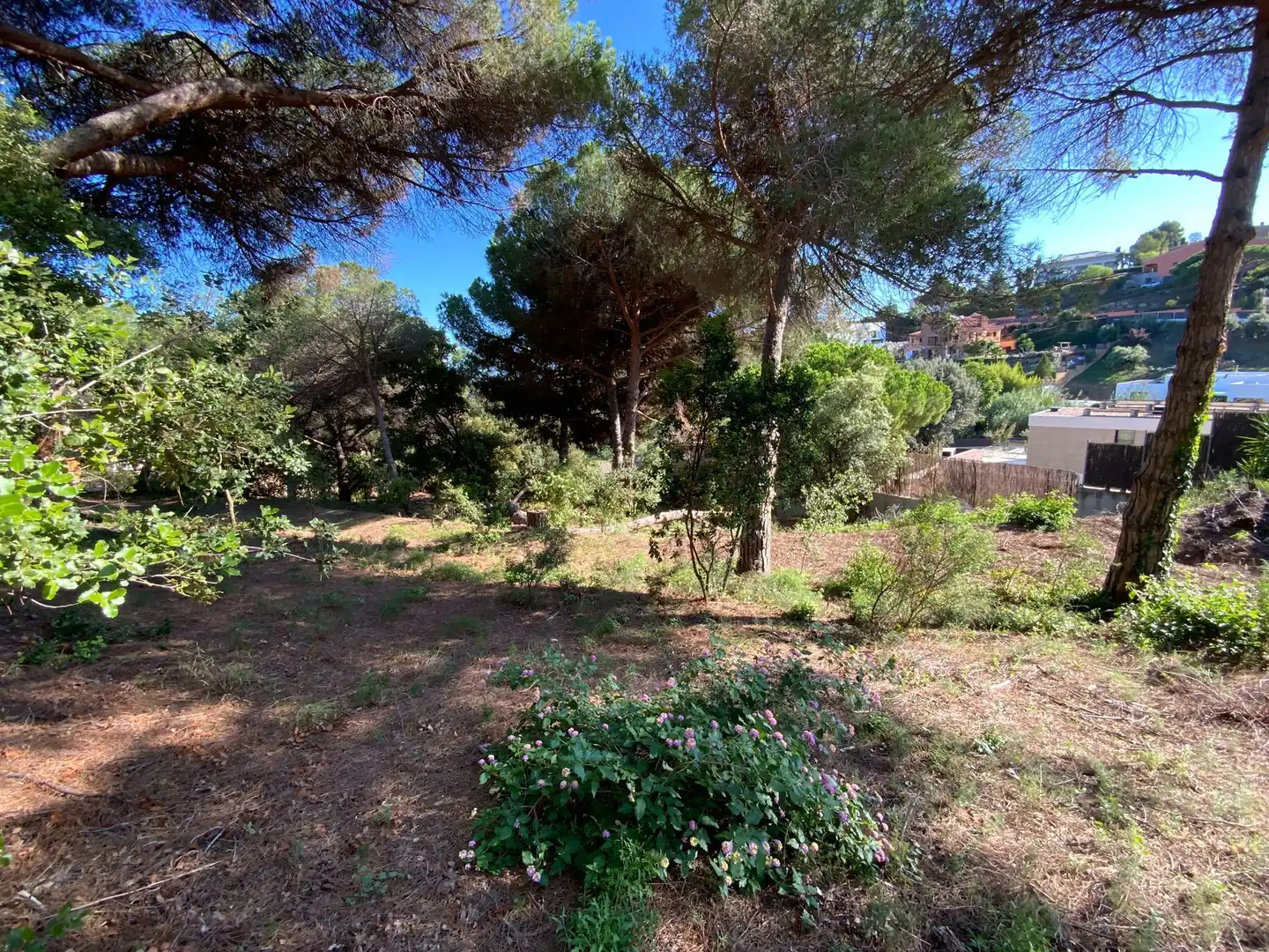 Residencial en venda en Sant Andreu de Llavaneres
