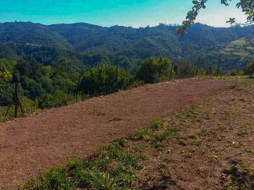 Rural land for sale in Villaviciosa - Breceña