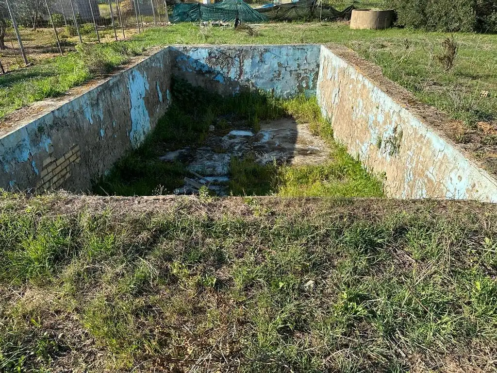Terreny rústic en venda a Pedanías Norte, imagen 7
