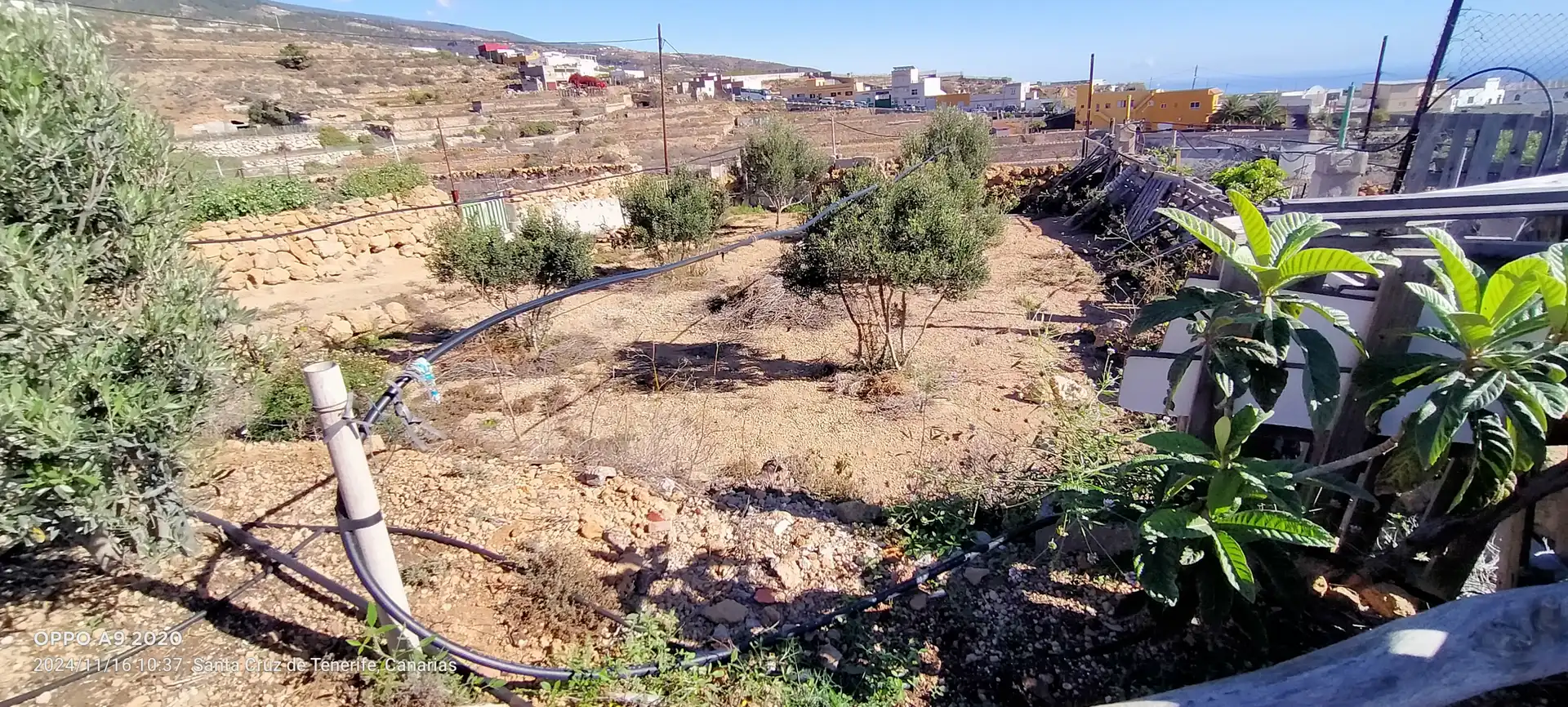 Terreno en venta en Arico