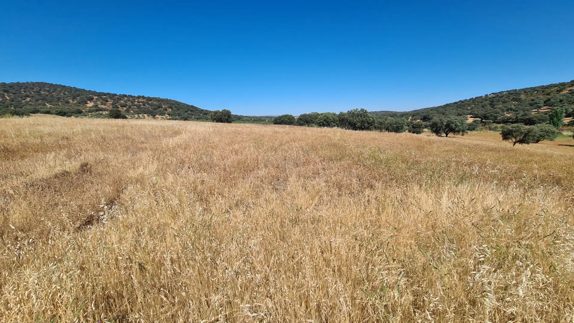 Terreno en venta en Malcocinado