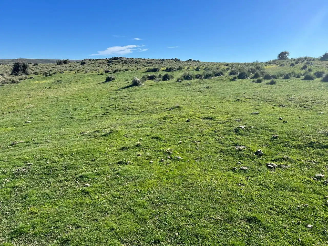Terreni e lotti in vendita a Tornadizos de Ávila, imagen 9