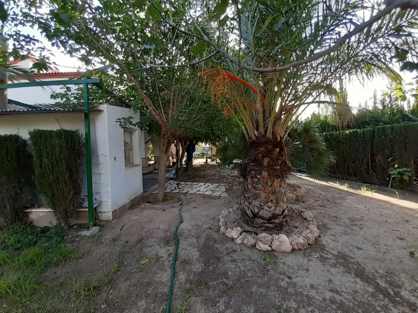 Casa o chalet en venta en Novelda