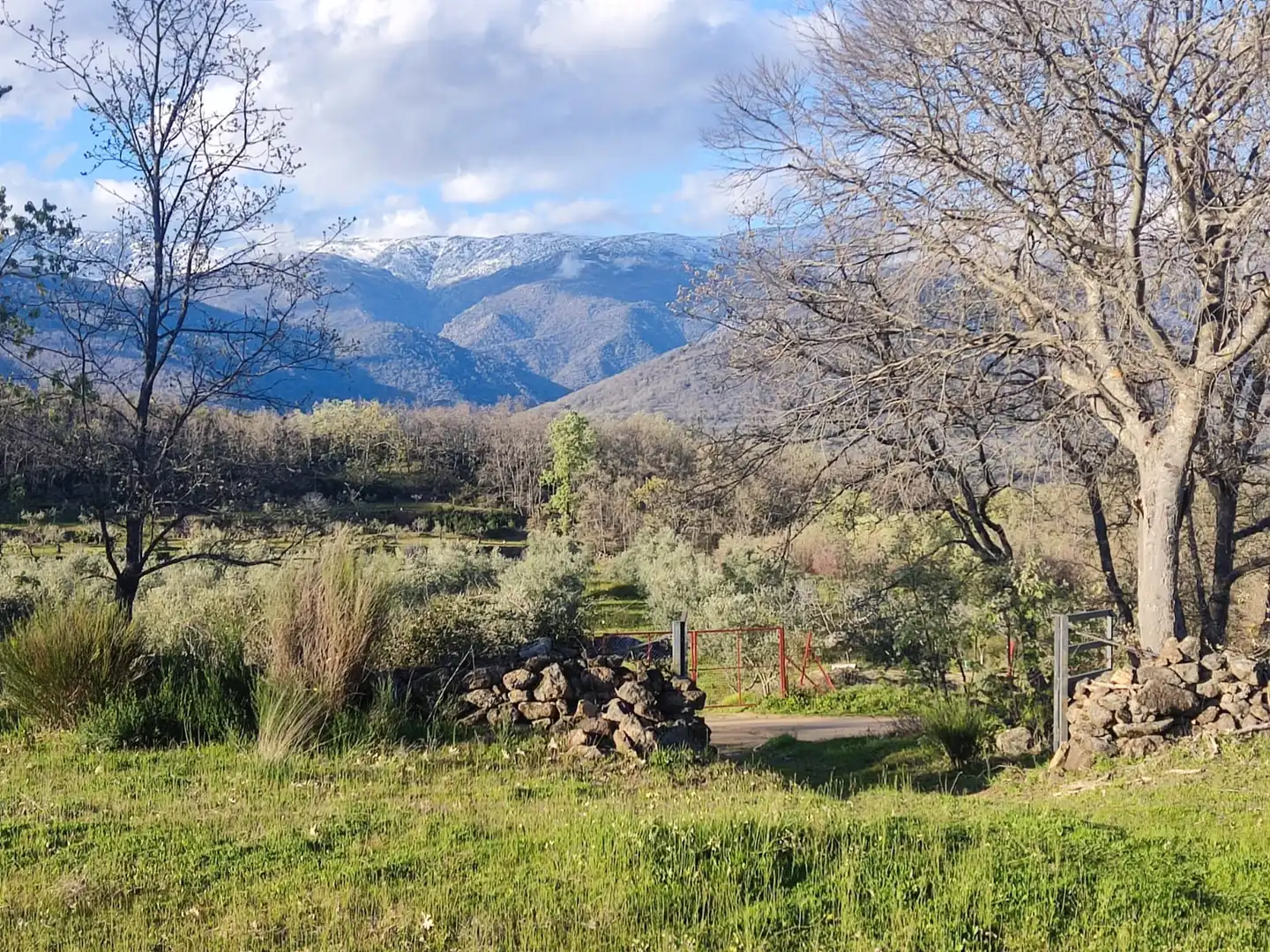 Terreni e lotti in vendita a Navalmoral de la Mata, imagen 9