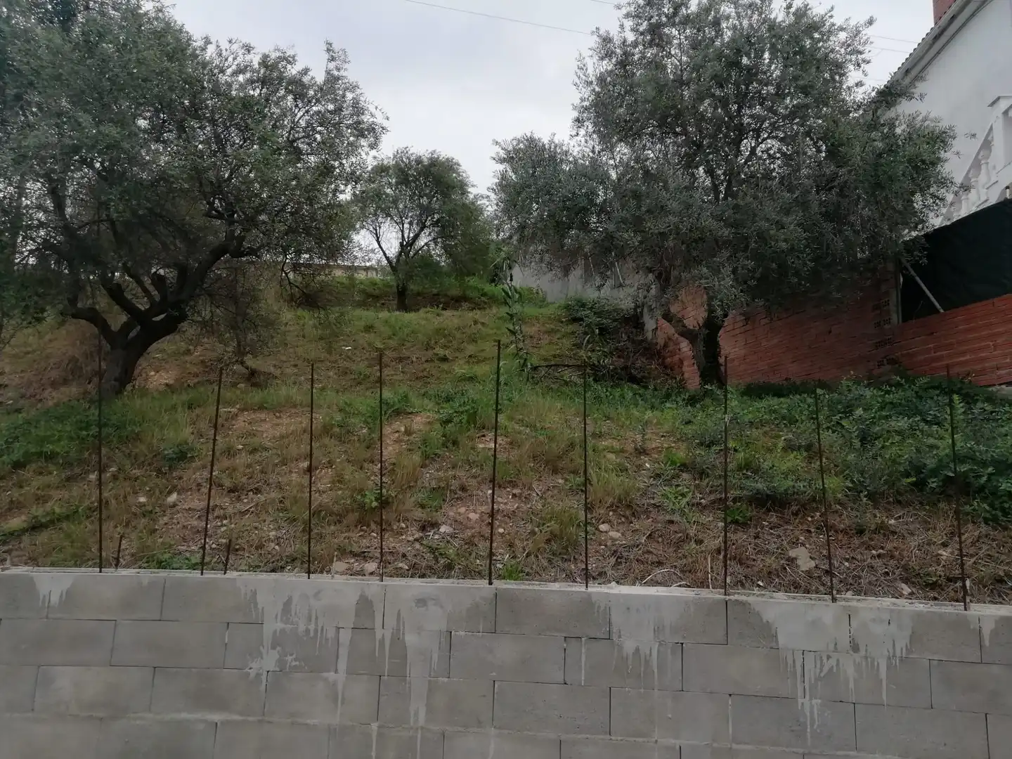 Terreno rustico in vendita a Piera, imagen 4