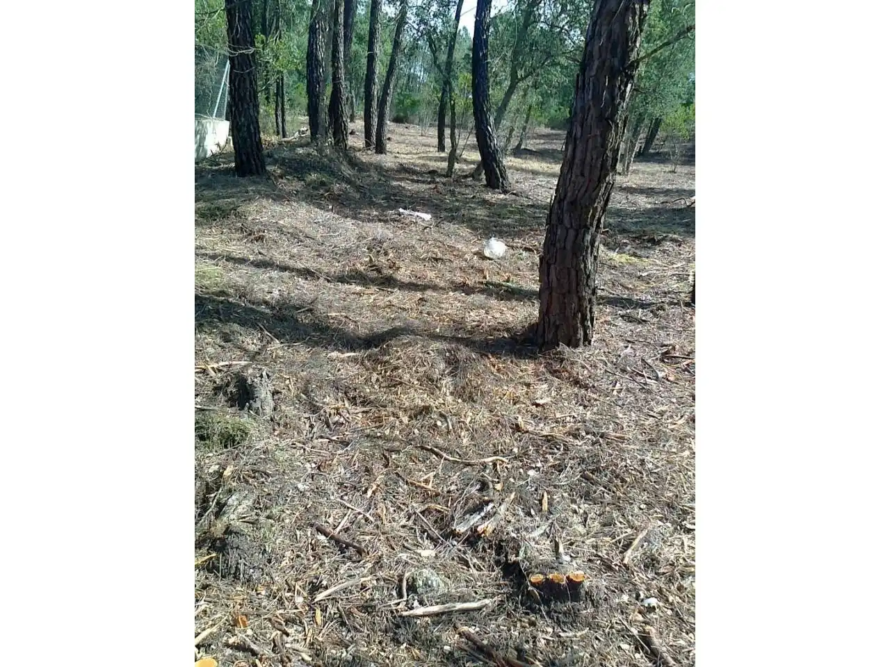 Terrain rustique à vendre à Urbanizacion MALAVELLA PARK, imagen 4