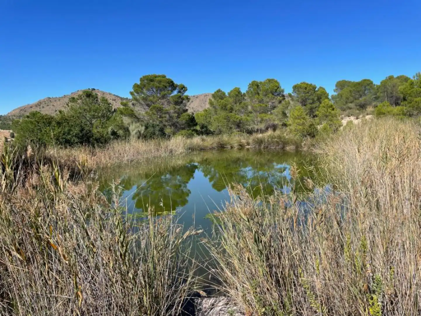 Casa o chalet en venta en Liétor - casa de la rambla Lietor, Liétor