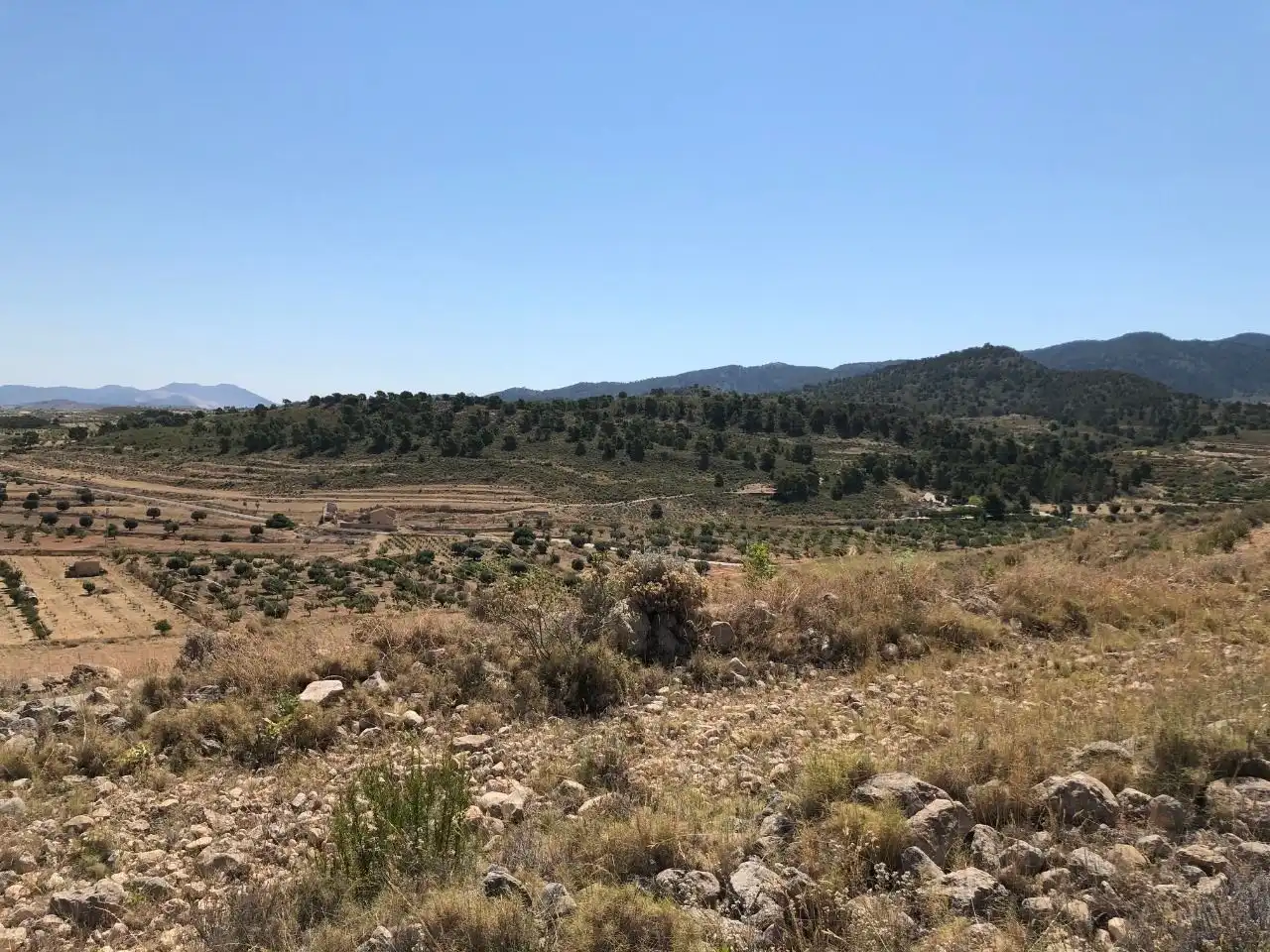 Lands and plots for sale in Abanilla, imagen 5