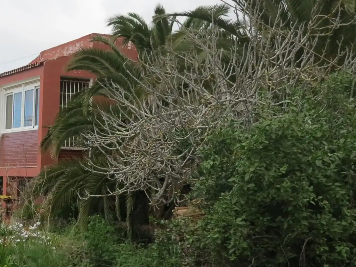 Vista exterior de Pis en venda en Tacoronte amb Jardí privat, Piscina i Balcó