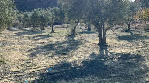 Terreno con proyecto de chalet de 275m2 y piscina de 32m2. Licencia de obras aceptada, imatge 5