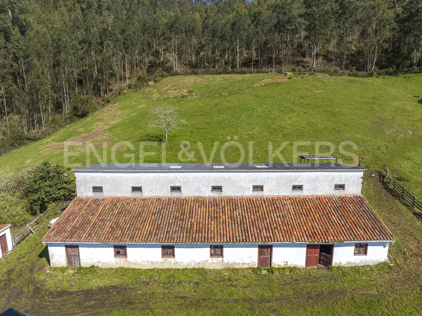 Vista exterior de Residencial en venda en Villaviciosa