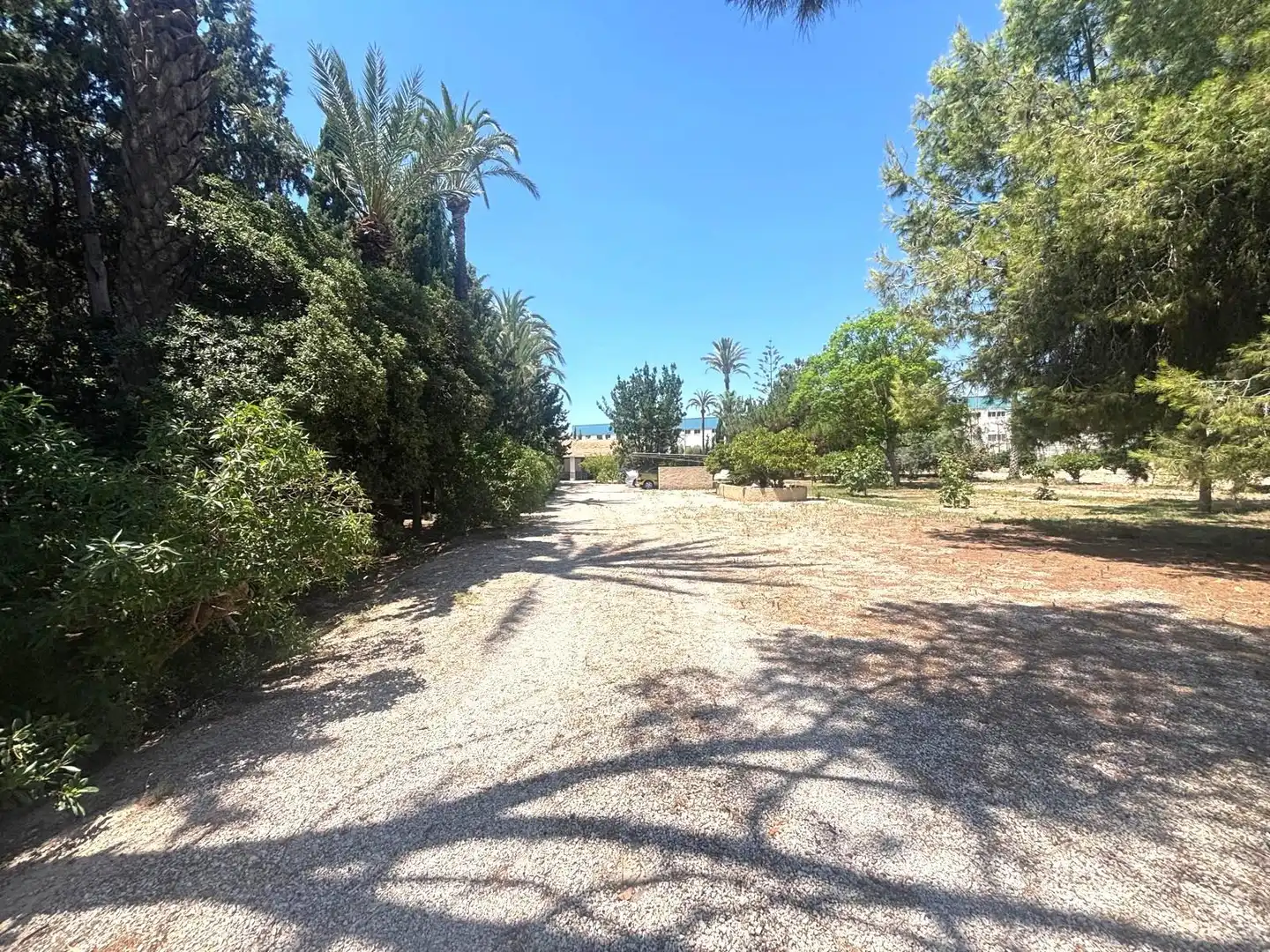 Exterior view of Houses for sale in Elche / Elx
