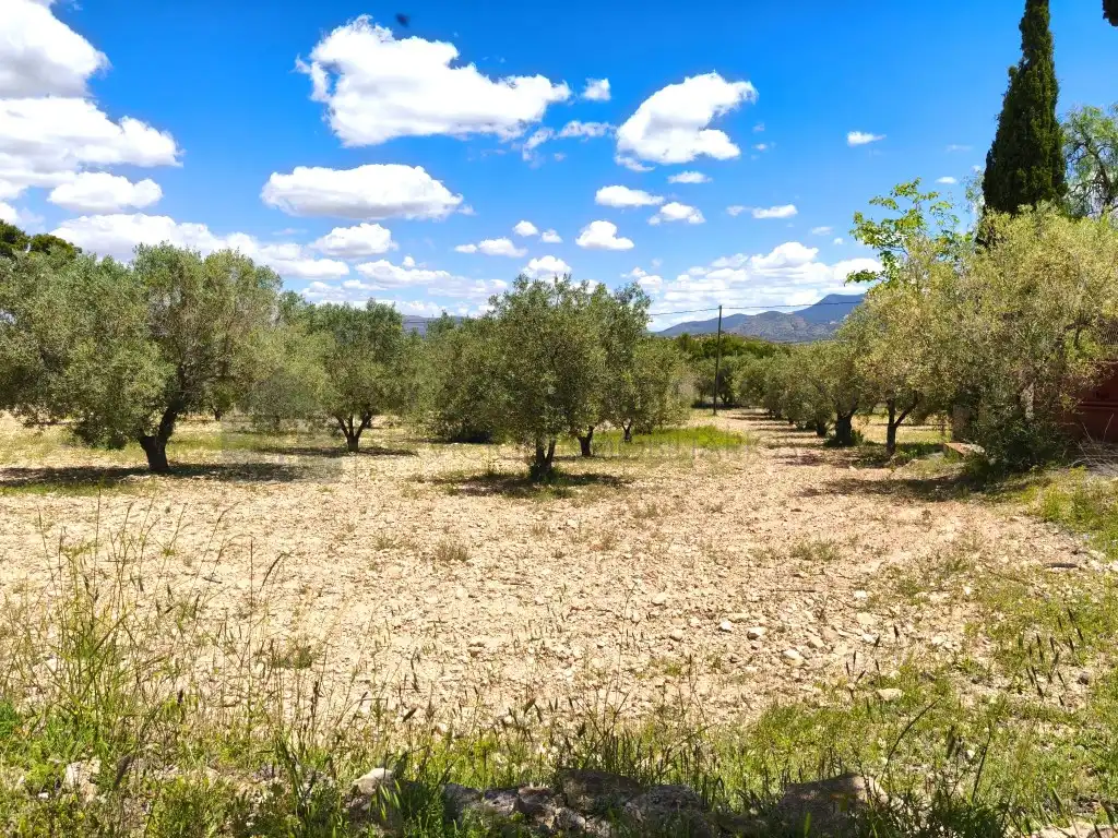 Finca rústica en venta en Sax