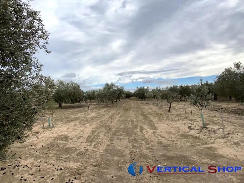 Casa o chalet en venta en Caudete