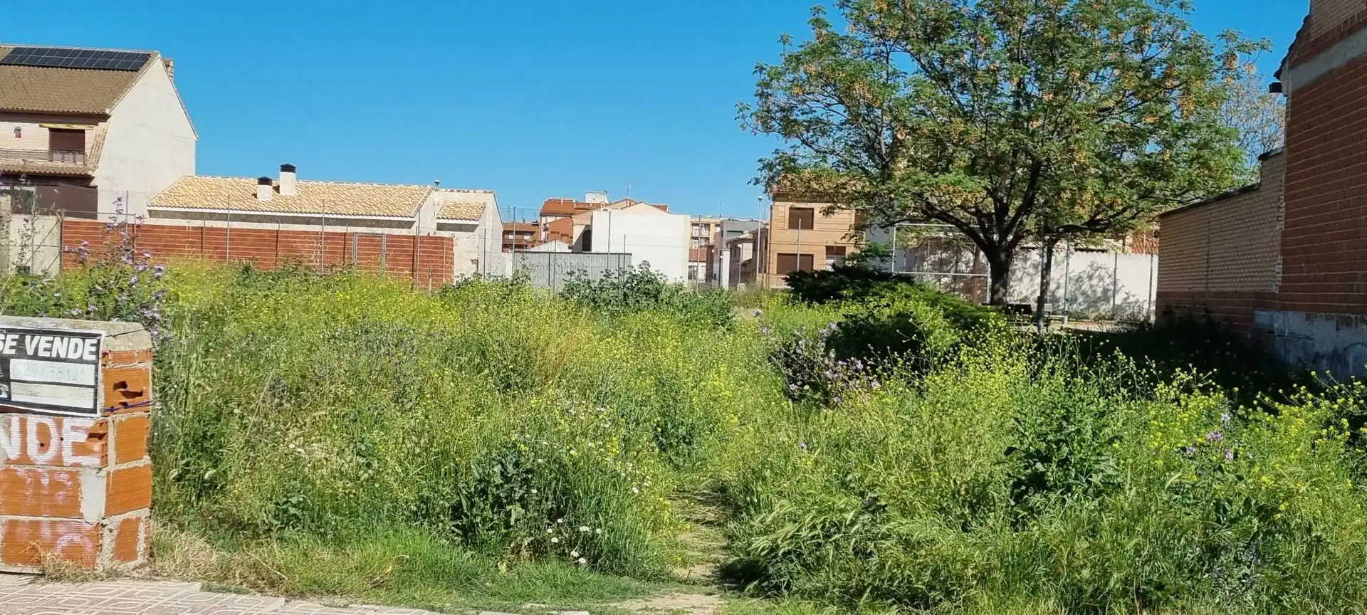 Lands and plots for sale in Torrijos, imagen 4