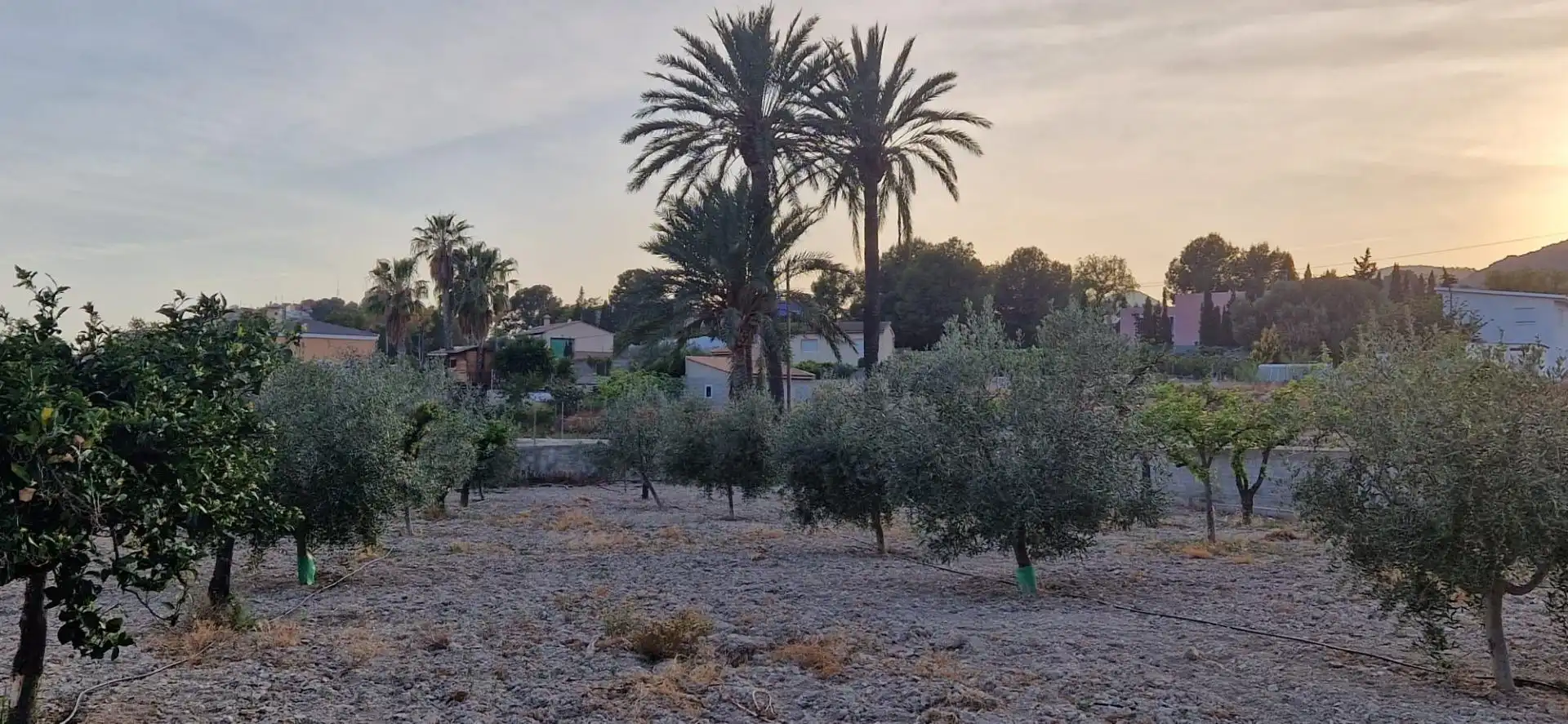 Finca rústica en venta en Aigües con Jardín privado