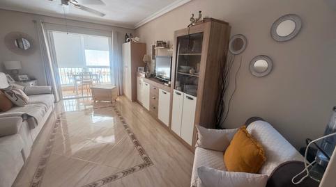 Foto 2 de Estudi en venda a Avenida Bélgica, 10, Los Europeos, Torrevieja