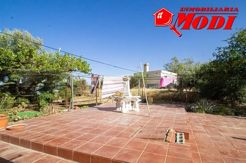 Jardí de Casa o xalet en venda en Moraleda de Zafayona amb Aire condicionat i Piscina
