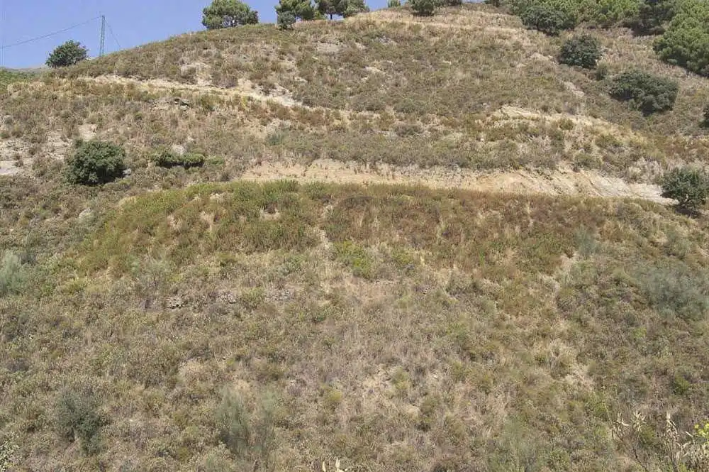 Terreno rústico en venta en Sedella, imagen 5