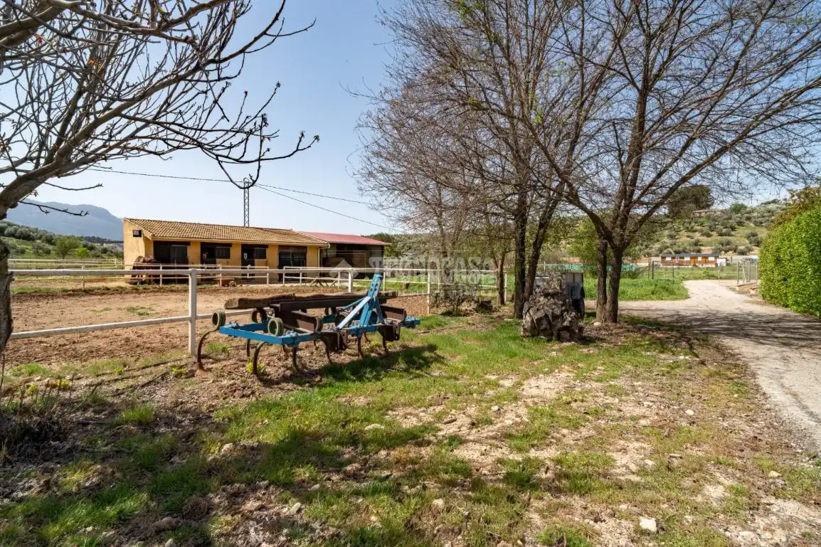 Finca rústica en venda en Iznalloz