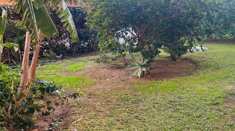 Foto 4 de Pis en venda a Calle Rodrigo de Triana, 4, Centro ciudad, Fuengirola