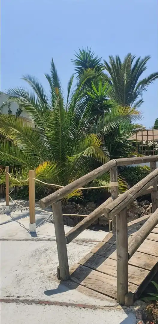 Villa mit Pool zur Miete in Calle Saturno 11, imagen 12