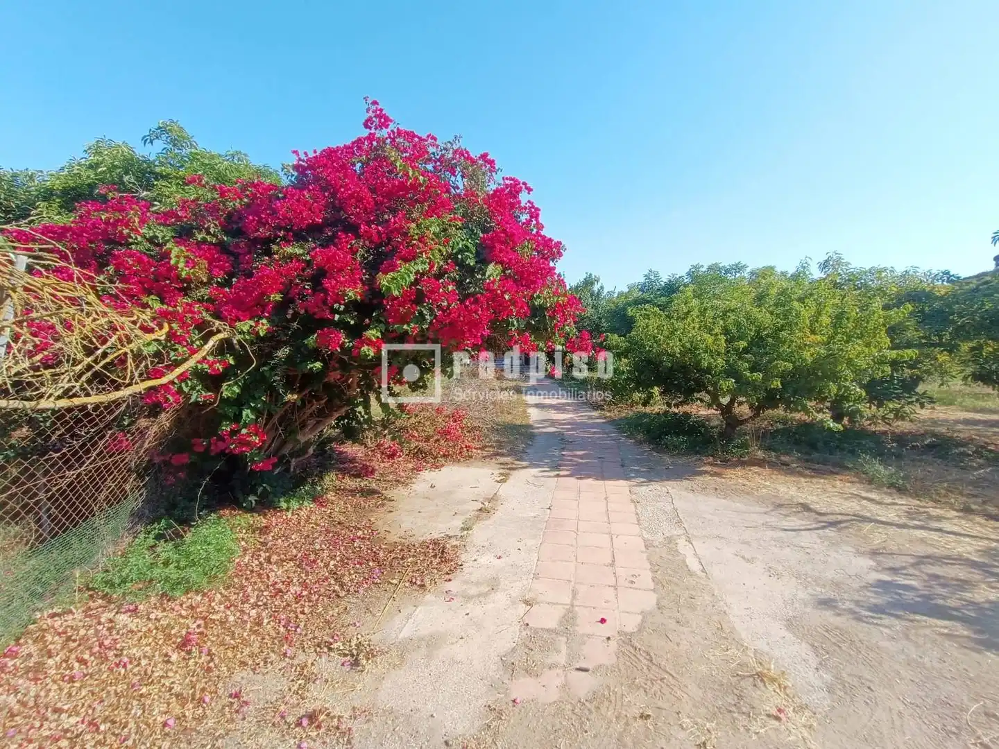 Casa o chalet en venta en Nerja con Amueblado