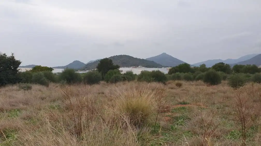 Terreny residencial en venda a Partida Fosaret, imagen 22