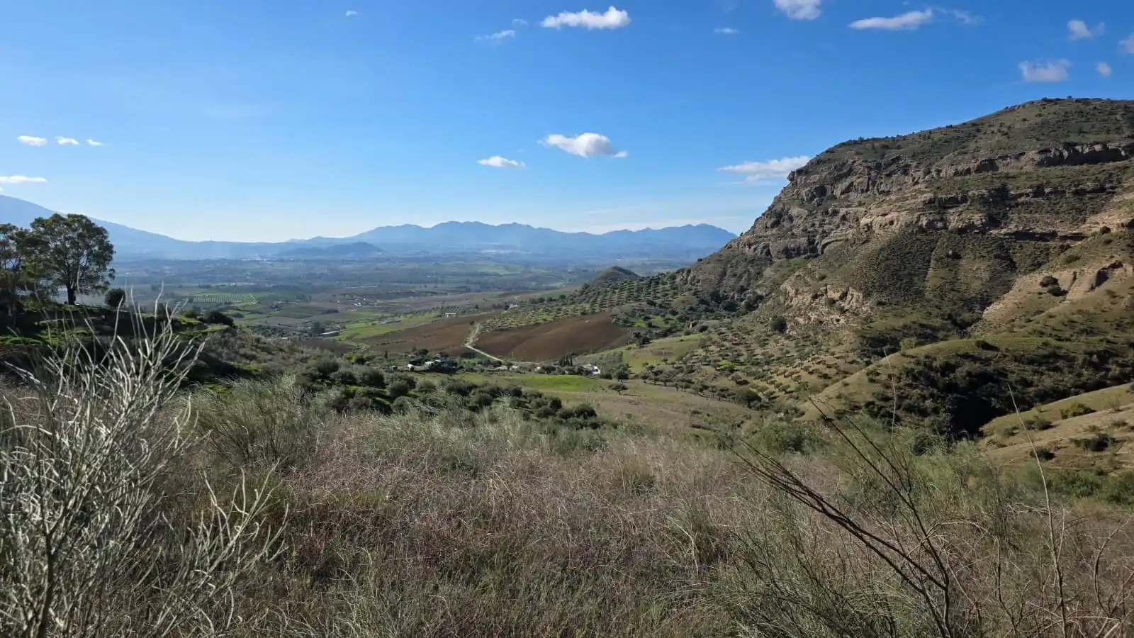 Finca rústica en venda en Pizarra