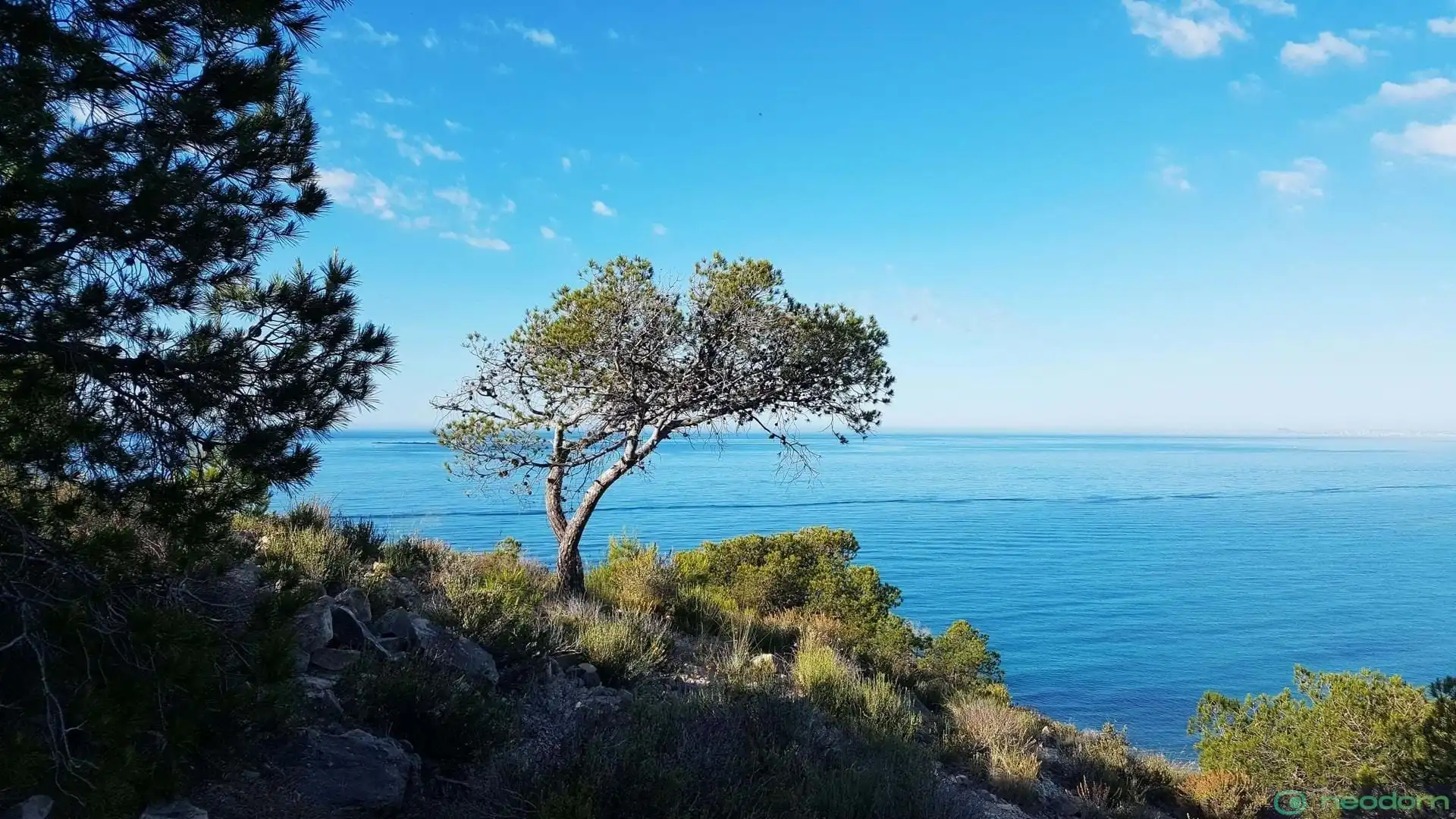 Piso en venta en Platja de Torres, imagen 14