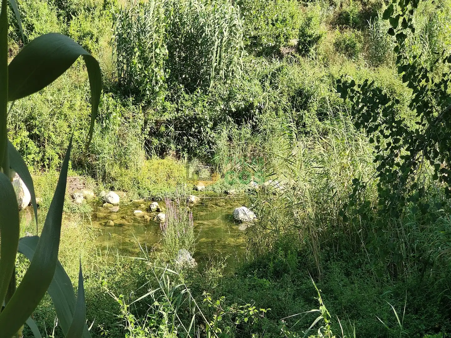 Haus zum Verkauf in Alcover, imagen 6