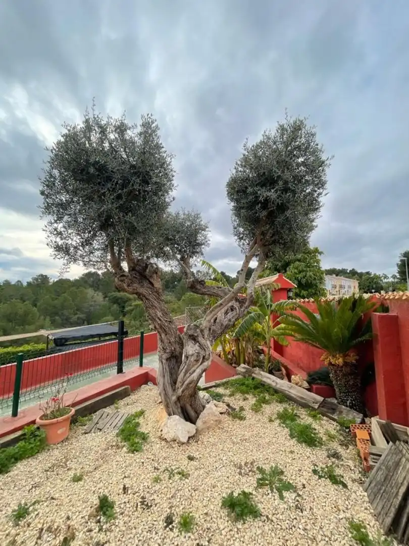 Jardín de Apartamento en venta en La Nucia con Terraza y Amueblado