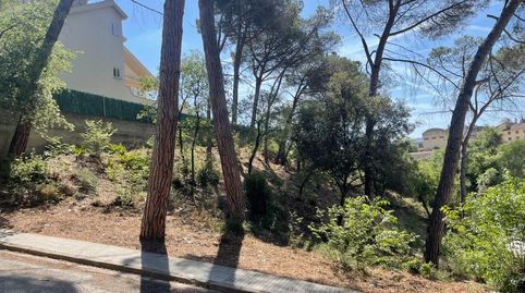 TERRENO JUNTO A CAPELLADES, immagine 3