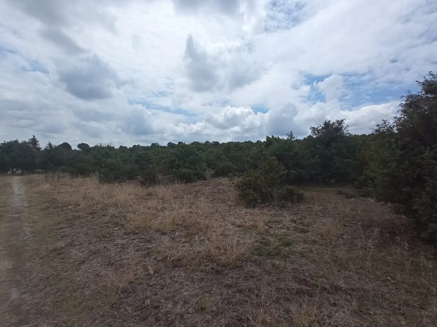 Terreny rústic en venda a M-618 6, imagen 4