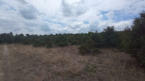 FINCA RUSTICA PROTEGIDA, imatge 4