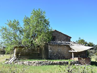 Terreny rústic en venda a Valderrobres