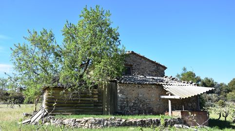 Immagine 1 dell'annuncio