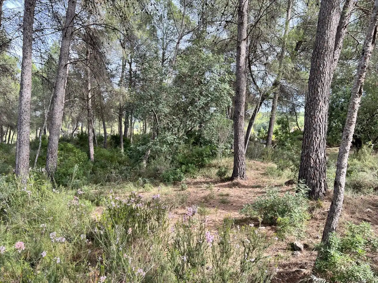 Residencial en venta en Polígono 23. Parcela, Bicorp