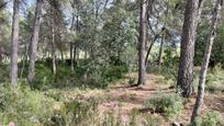 Residential for sale in el Real, Bicorp, imagen 2