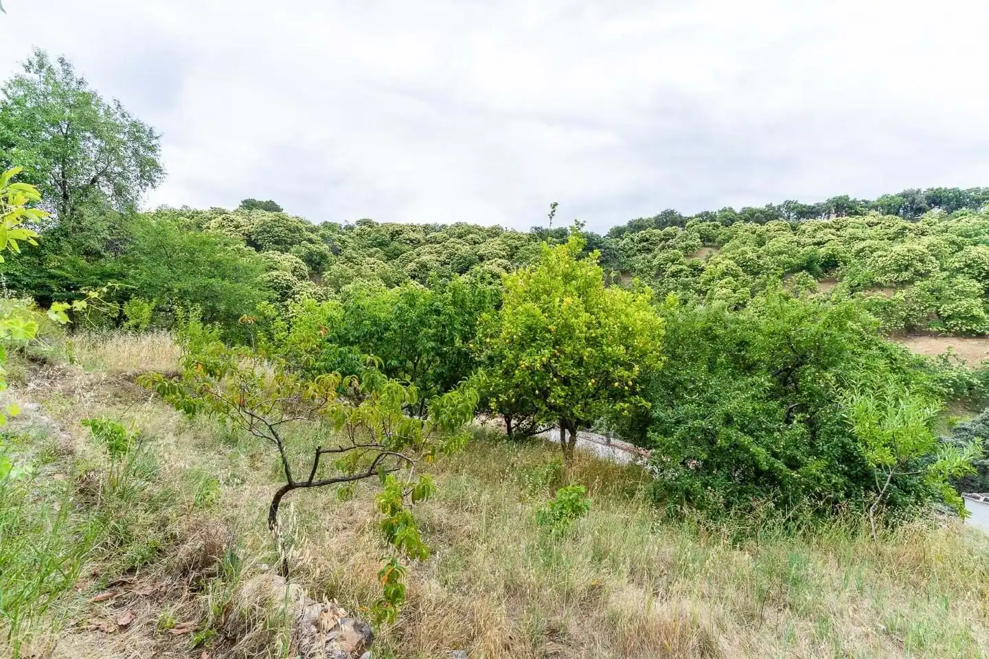 Casa o xalet en venda en Faraján