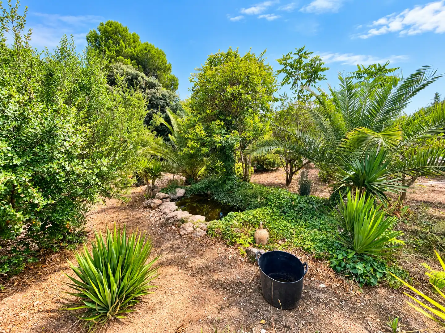 Country house with garden for sale in Partida Freixa, imagen 42