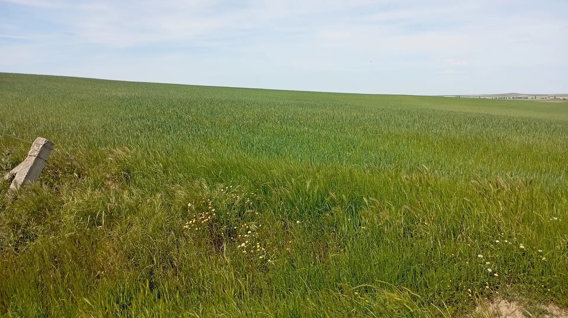 Land for sale in Calle Iglesia, Cantaracillo