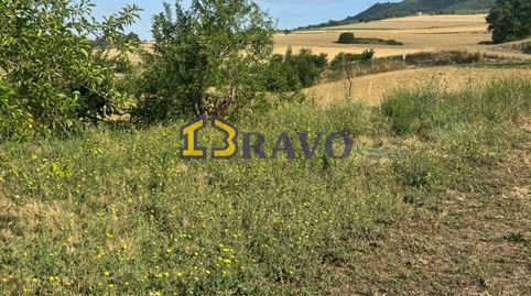 TERRENO CON CABAÑA EN VENTA VALLE DE TOBALINA, imatge 2