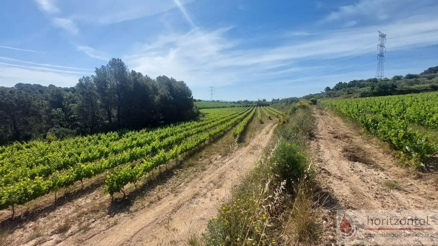 Terrenys i solars en venda a Sant Quintí de Mediona, imagen 6