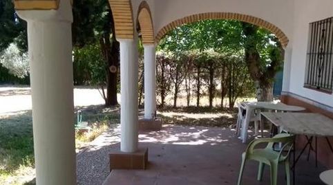 Foto 2 de Casa o chalet en venta en Los Molares, Sevilla