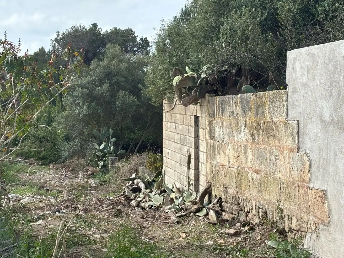 Grundstücke und Bauplätze zum Verkauf in GREGORI CERDO, imagen 8
