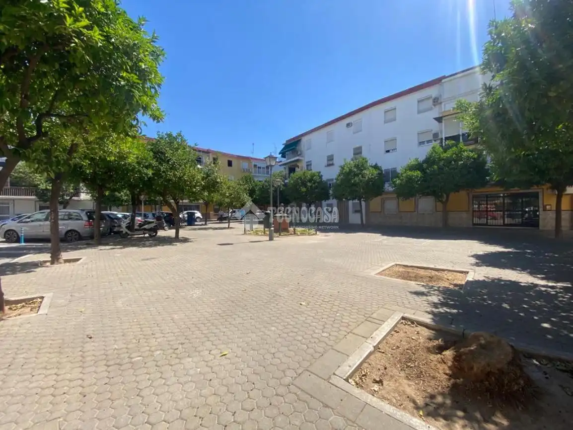 Exterior view of Flat for rent in Sevilla  with Terrace