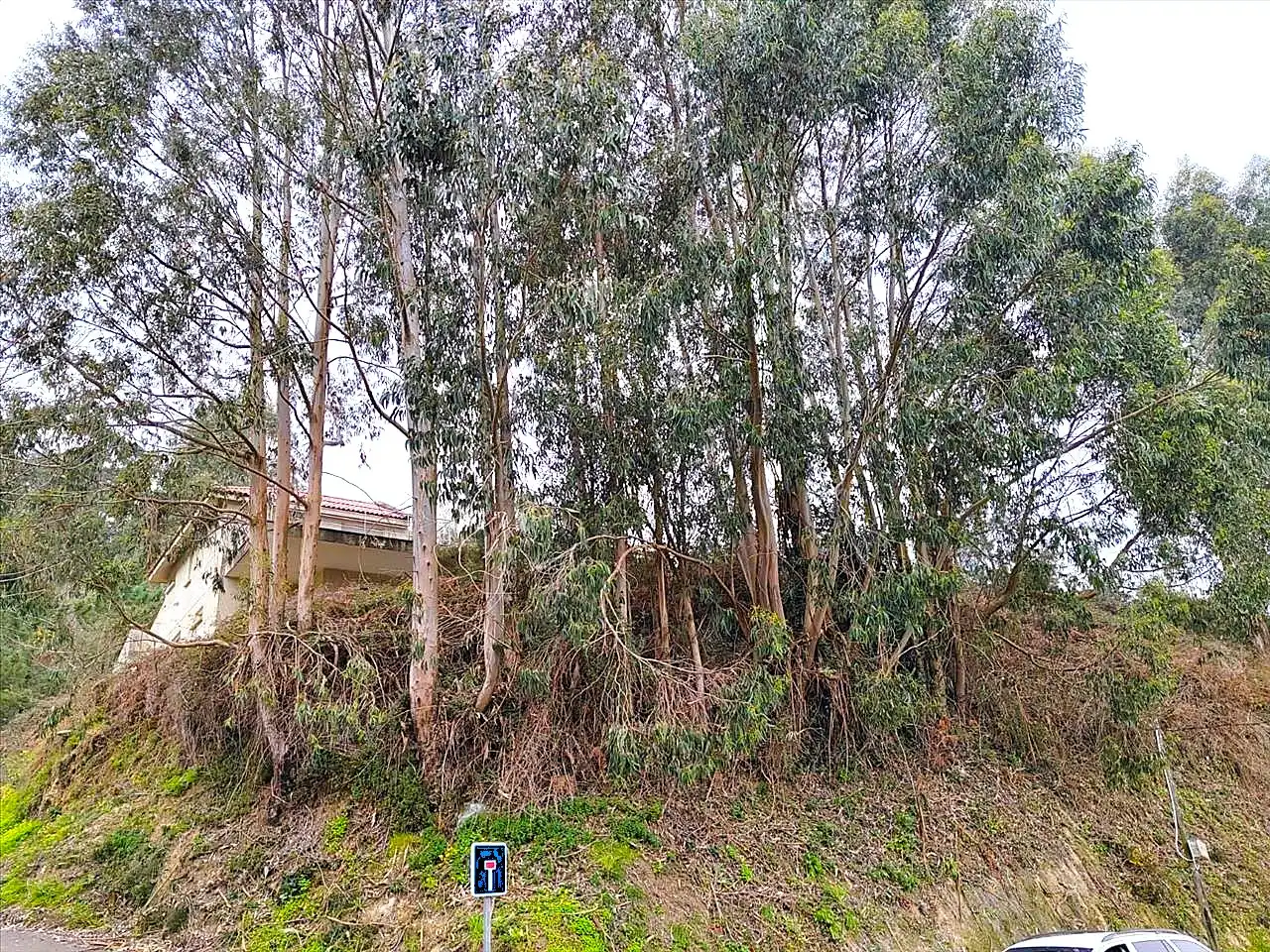 Residencial en venta en Sanxenxo
