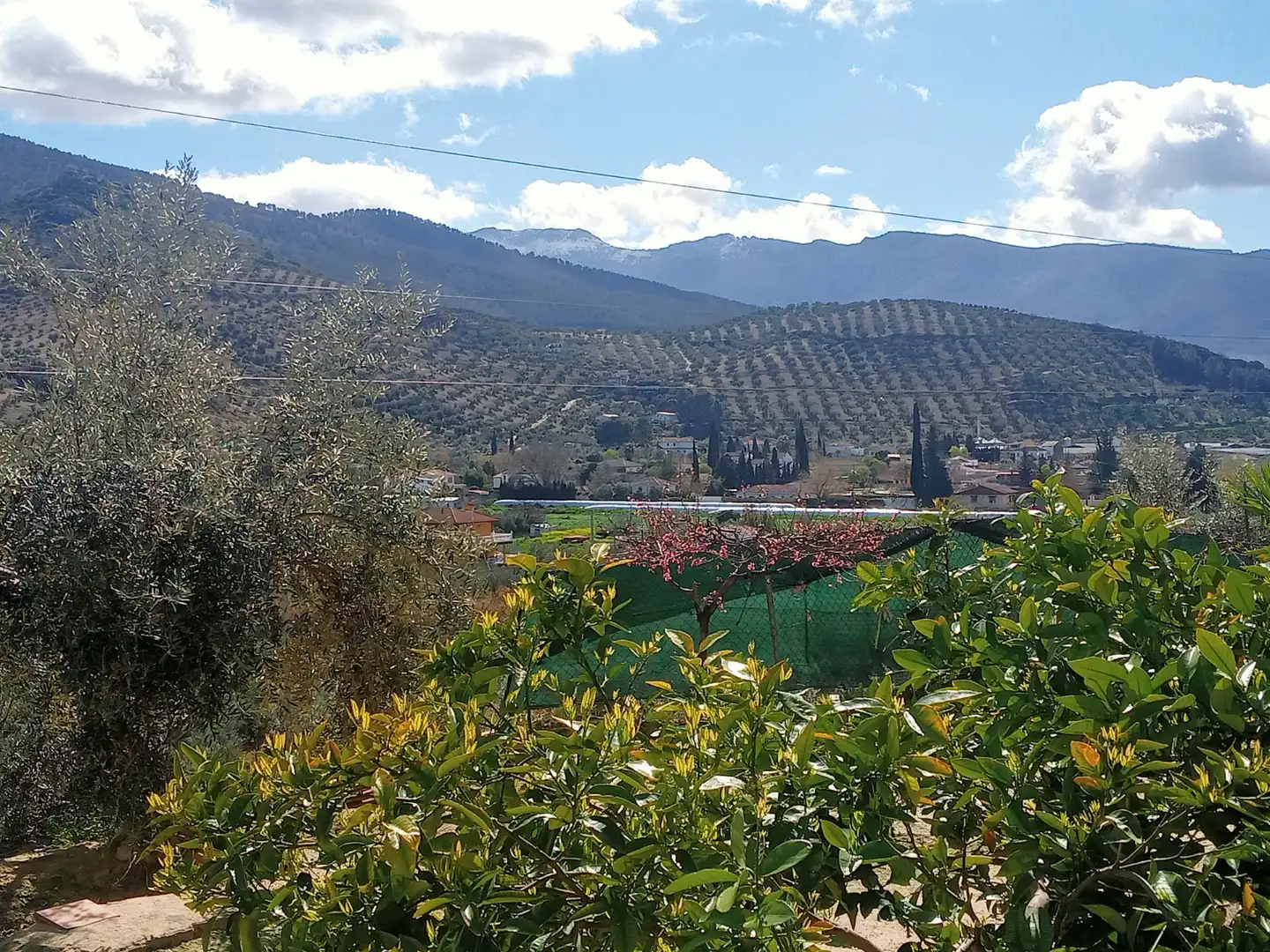 Detached house with pool for sale in Carretera Puente de la Sierra, imagen 26