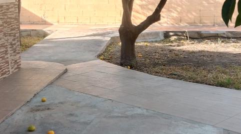 Photo 4 of House or chalet to rent in El Juncal - Vallealto, Cádiz